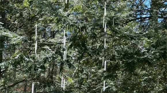 water from snow melting off the roof