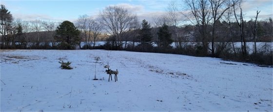 A wooden deer stands in a snow-covered field.