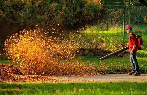 Man with Leaf blower