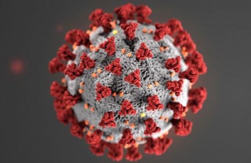 Coronavirus