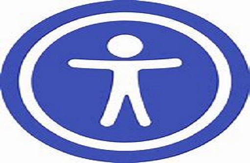 WGO Accessibility Icon