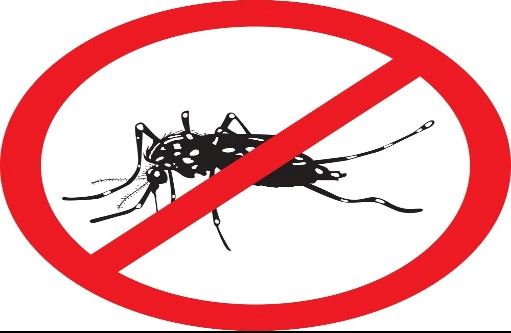 warning-plank-mosquito-vector-26838798
